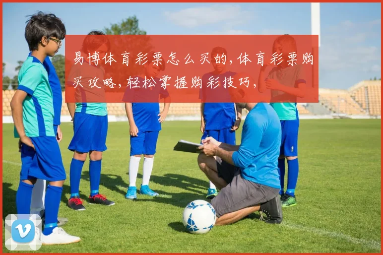 易博体育彩票怎么买的,体育彩票购买攻略,轻松掌握购彩技巧,