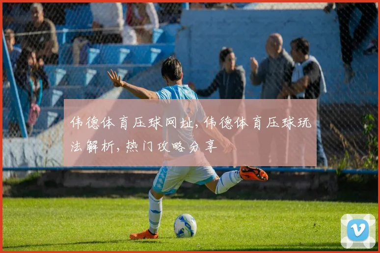 伟德体育压球网址,伟德体育压球玩法解析,热门攻略分享