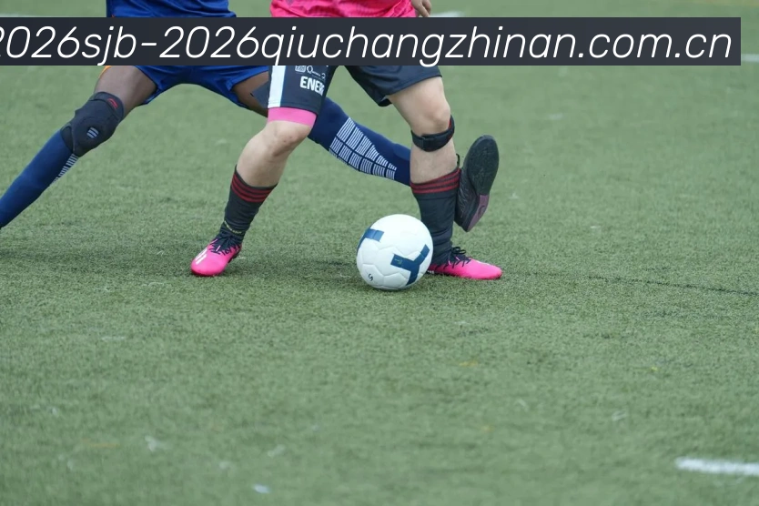 世界杯2026球场指南平台生态图