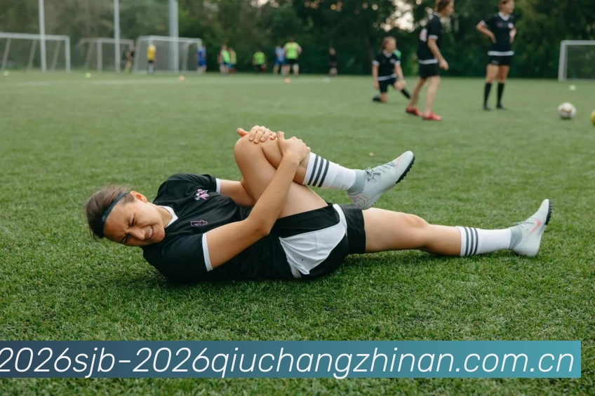 世界杯2026球场指南APP 封面图